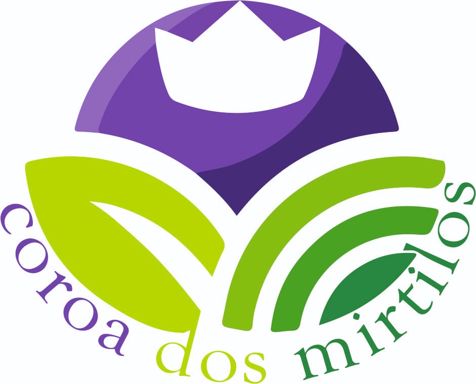 Coroa de Mirtilos